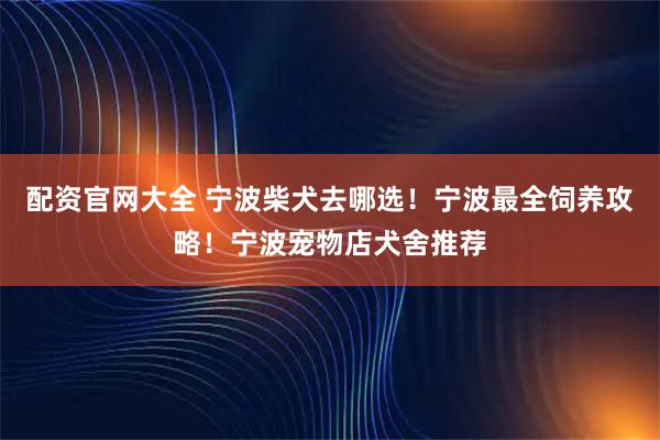 配资官网大全 宁波柴犬去哪选！宁波最全饲养攻略！宁波宠物店犬舍推荐